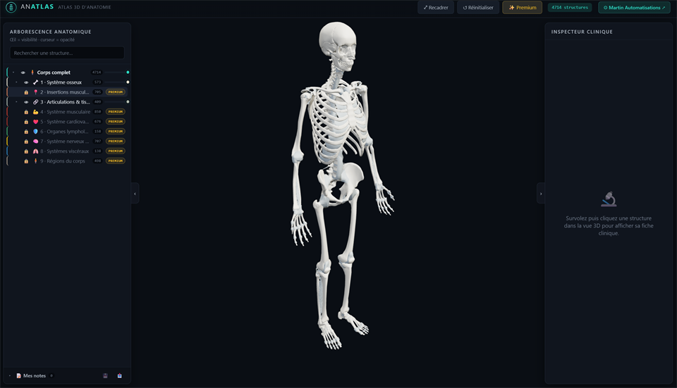 Capture d'écran d'Anatlas : modèle 3D d'anatomie explorable dans le navigateur